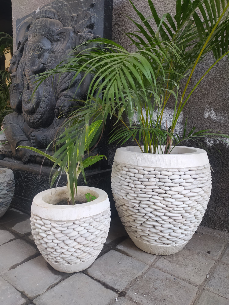 widhya-wholesale